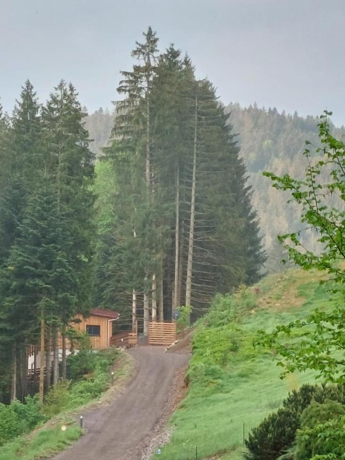 Le Refuge Perche Du Saut De La Bourrique Spa, Terrain Cloture 热拉梅 外观 照片