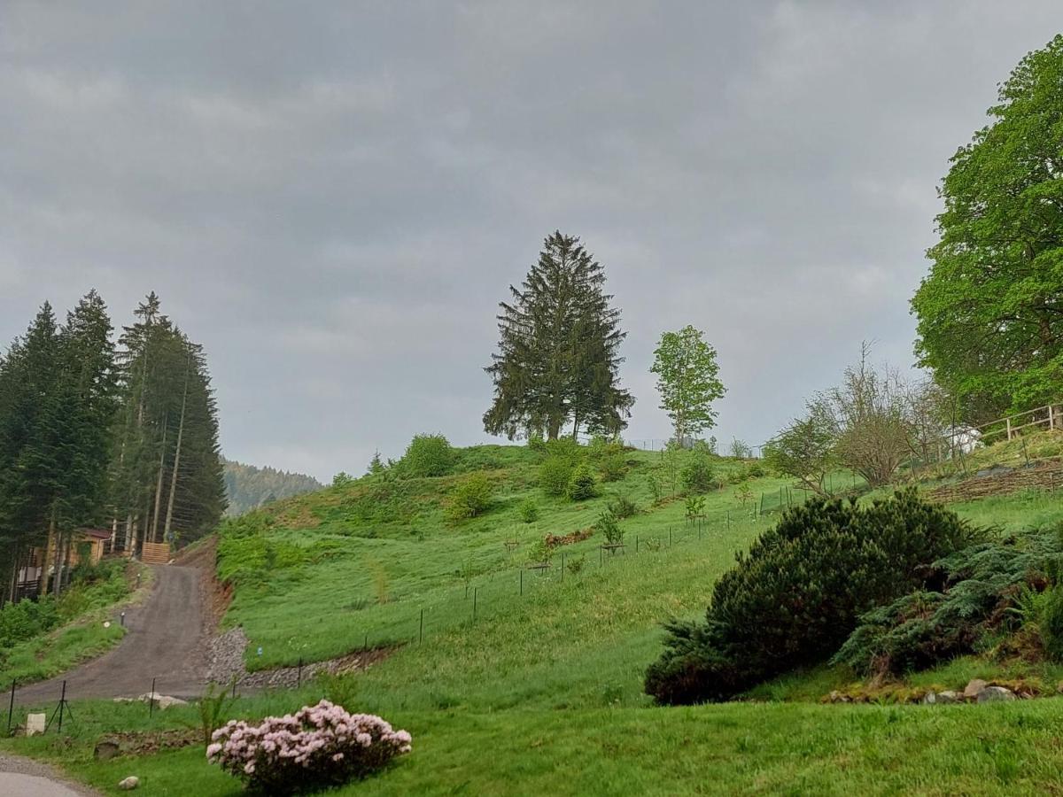 Le Refuge Perche Du Saut De La Bourrique Spa, Terrain Cloture 热拉梅 外观 照片