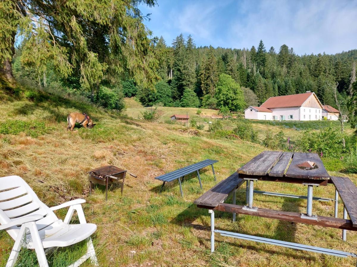 Le Refuge Perche Du Saut De La Bourrique Spa, Terrain Cloture 热拉梅 外观 照片